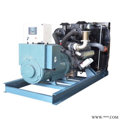 威曼发电机厂家 200KW发电机组价格 D11A2图4