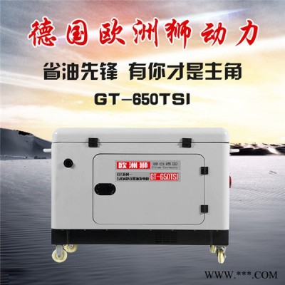 欧洲狮5000瓦静音柴油发电机图1