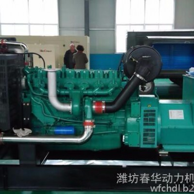 潍柴(6126ZLD)发电机组 200KW柴油发电机组 全铜无刷电机图3