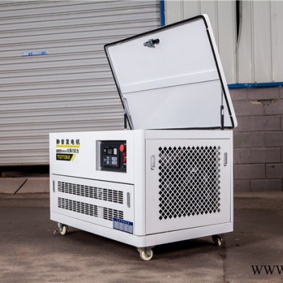 大泽动力40KW汽油发电机自发电图5