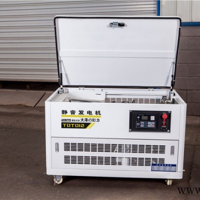 大泽动力40KW汽油发电机自发电图7