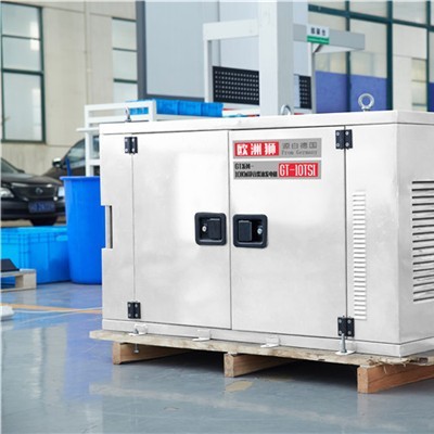 欧洲狮3KW柴油发电机用柴油发电图4