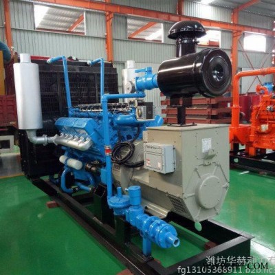 250KW天然气发电机组 养殖类250千瓦燃气发电机配四保护 节能环保图3