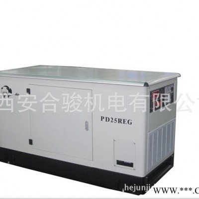 25KW天燃气、多燃料静音型发电机组 天燃气发电机组图3