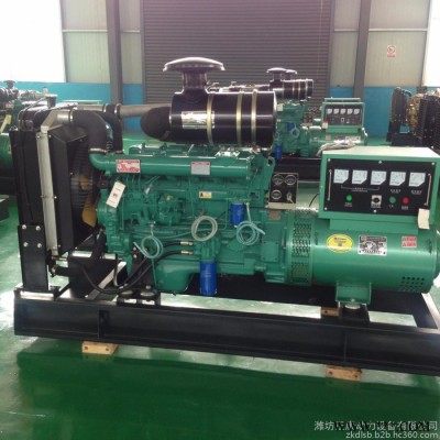 潍柴75kw柴油发电机组 R6105ZD系列 摆式磨粉机专用全铜发电机图4