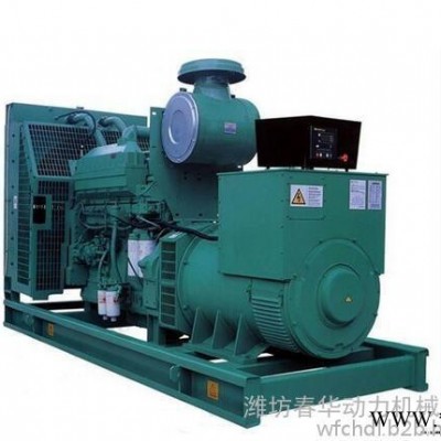 供应 春华 139-5369-7600（WD269TAD50）柴油发电机  无动柴柴油发电机组  500KW柴油发电机组图2