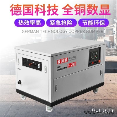 15KW静音汽油发电机图4