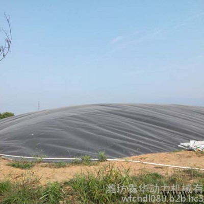 华柴道依茨HC6V132G 150KW天然气发电机 生物质气发电机 沼气发电机 燃气机价格图6
