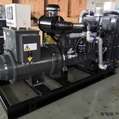 140KW上柴价格 上柴SC8D220D2柴油发电机组 沈阳发电机组厂家热卖 工厂批发上柴发电机组 备用电源图5