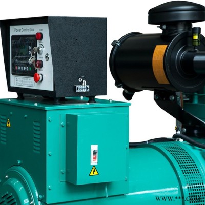 东风康明斯发电机6CTAA8.3-G2 180kw柴油发电机组 六缸水冷 野外工地备用电源中小型发电机图4