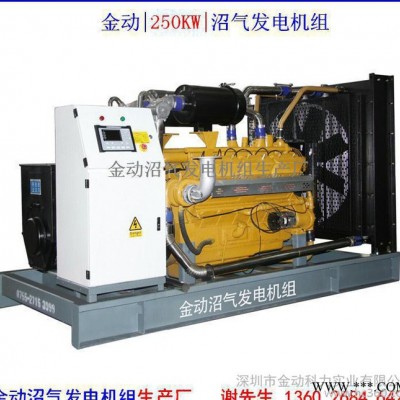 **推荐 武汉沼气发电机组 高质量40kw天然沼气发电机组图2