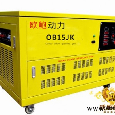 汽油发电机组|380V电启动15KW汽油发电机图3