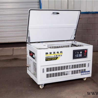 大泽动力40KW汽油发电机机房用无声图4