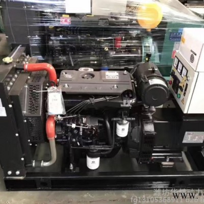 潍柴20kw柴油发电机组 潍柴锐动力无刷发电机 配套ATS自动化 380v220v图3