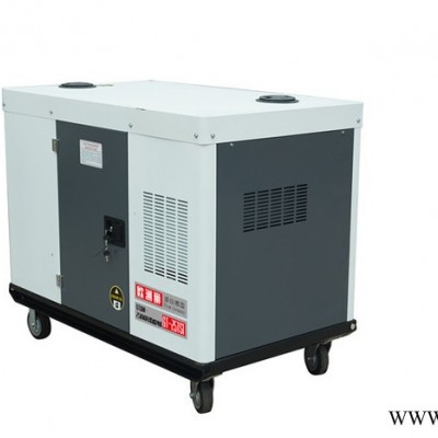 欧洲狮 20kw柴油发电机图6