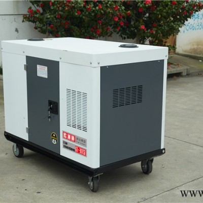 欧洲狮 20kw柴油发电机图3