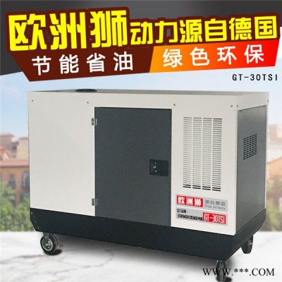 欧洲狮 20kw柴油发电机图2