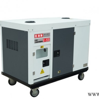 欧洲狮 20kw柴油发电机图5