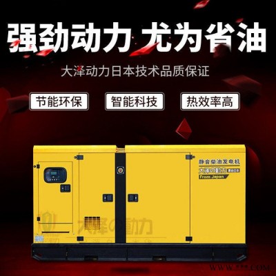 大泽动力TO280000ET 250kw柴油发电机图5