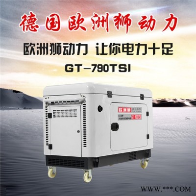 欧洲狮GT-950TSI柴油发电机价格图1