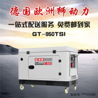 欧洲狮GT-950TSI柴油发电机价格图4