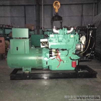 潍柴系列（K4100ZD）发电机组 40KW潍坊柴油发电机组 4100ZD柴油发动机图2