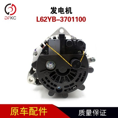 佩特来发电机L62YB-3701100天然气整体式交流发电机图3