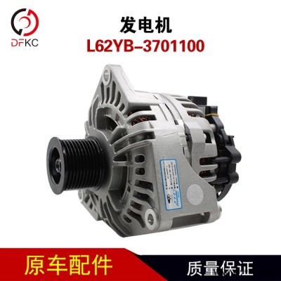 佩特来发电机L62YB-3701100天然气整体式交流发电机图5
