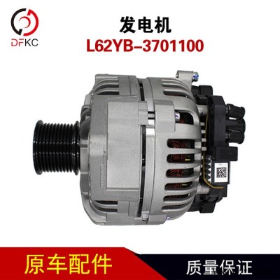 佩特来发电机L62YB-3701100天然气整体式交流发电机图4
