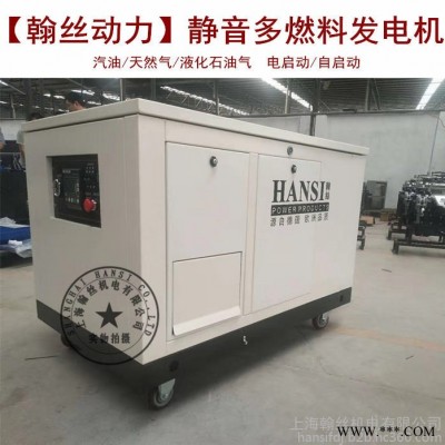HANSI翰丝HS15REG静音燃气发电机图2