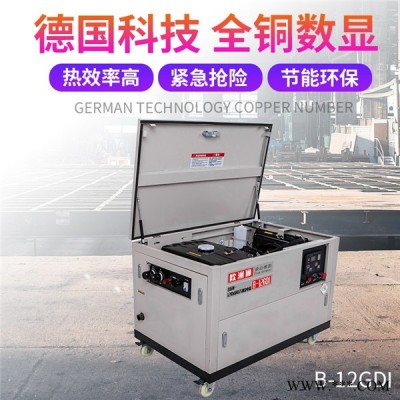 欧洲狮25KW汽油发电机小体积图6