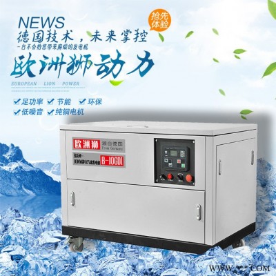 欧洲狮25KW汽油发电机小体积图1