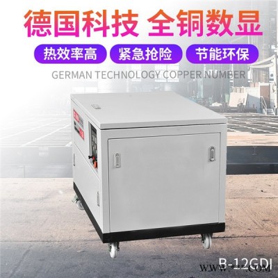 欧洲狮25KW汽油发电机小体积图4