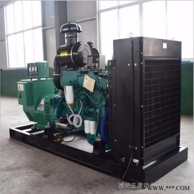 潍柴大型250kw柴油发电机组 工程施工常备电源 250千瓦无刷柴油发电机图2