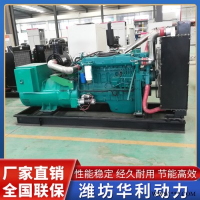 潍坊柴油发电机组 潍坊柴油机价格 柴油发电机组 华利动力 品质保证图3