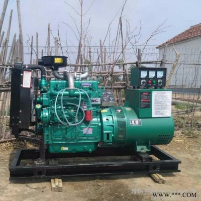 钻机打桩机专用潍柴40kw柴油发电机组 电启动50KVA永磁柴油发电机图2
