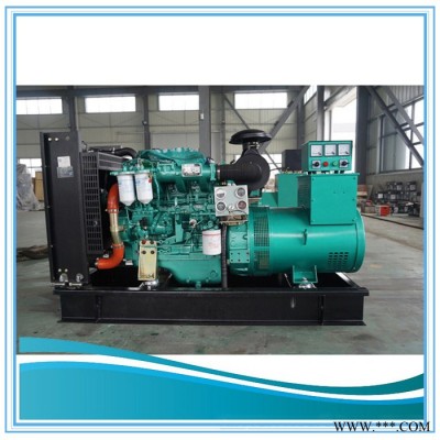 潍坊50kw 玉柴柴油发电机组 发电机组 农家养鸡场专用图3