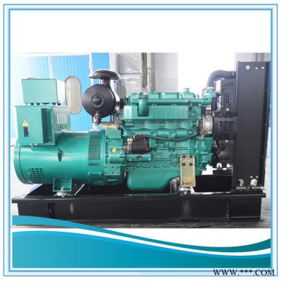 潍坊50kw 玉柴柴油发电机组 发电机组 农家养鸡场专用图2