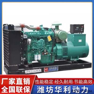 玉柴发电机组 潍坊柴油发电机组 潍坊柴油机价格 华利动力 品质保证图3