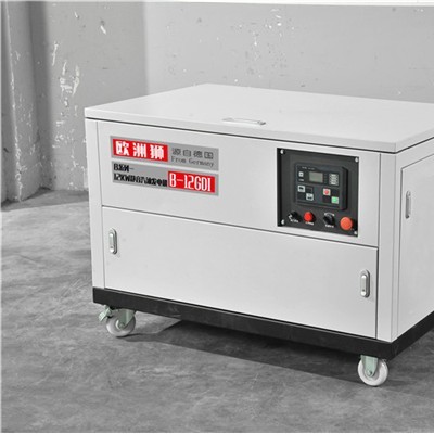 欧洲狮12KW汽油发电机价格图8