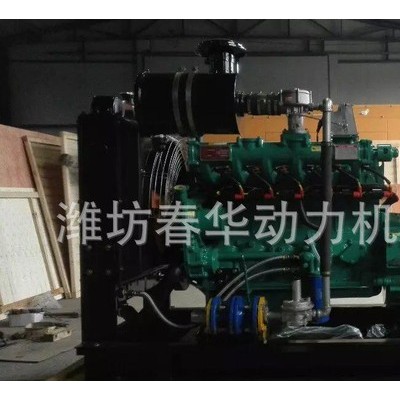 潍柴系列（50GFQ）沼气发电机组 50KW燃气发电机组 潍坊燃气机组厂家图2