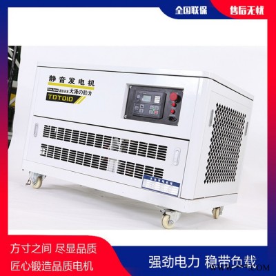 大泽动力25KW小型汽油发电机图3