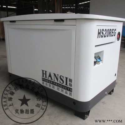 HANSI翰丝HS10REG燃气发电机图3