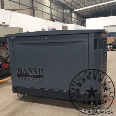 HANSI翰丝HS10REG燃气发电机图4