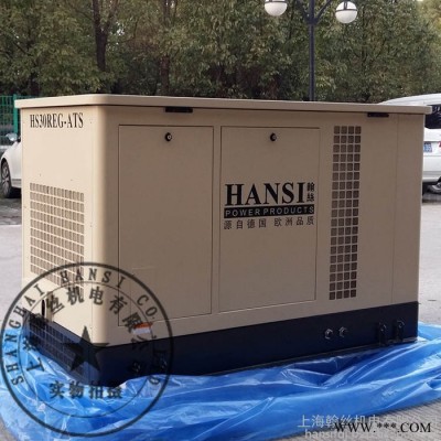 HANSI翰丝HS10REG燃气发电机