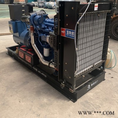 上柴发电机组YC6B180L-D20/100KW/发电机价格实惠，质量保证，假一罚十图2