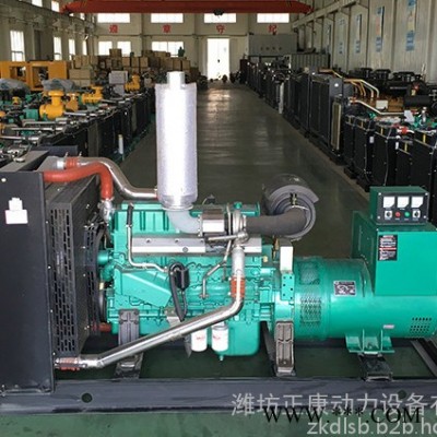 玉柴大功率250kw千瓦柴油发电机组 三相380V纯铜无刷水冷柴油机发电机图4