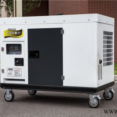 大泽动力20kw柴油发电机 上海欧鲍实业有限公司图2