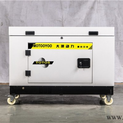 8KW汽油发电机大泽动力TOTO8图4