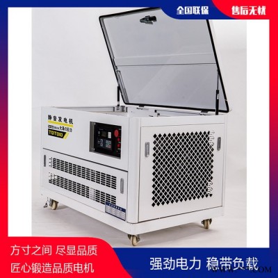 大泽动力 60KW应急汽油发电机现货图7